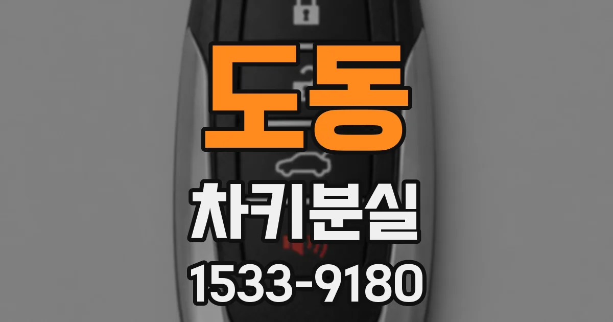 도동 차키분실