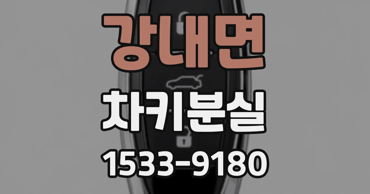 강내면 차키분실
