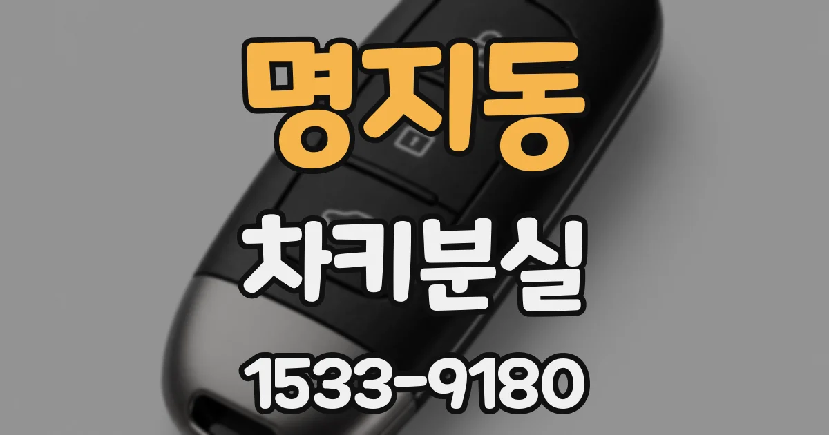 명지동 차키분실