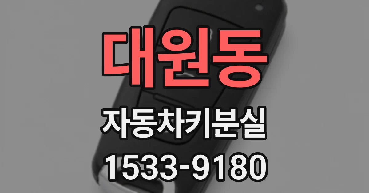 대원동 자동차키분실