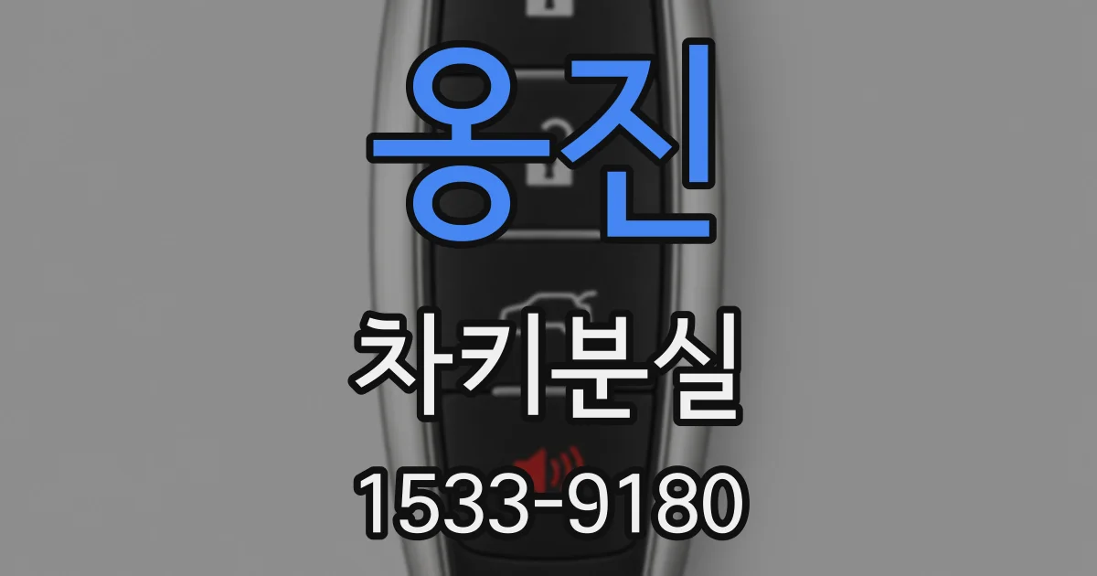 옹진 차키분실