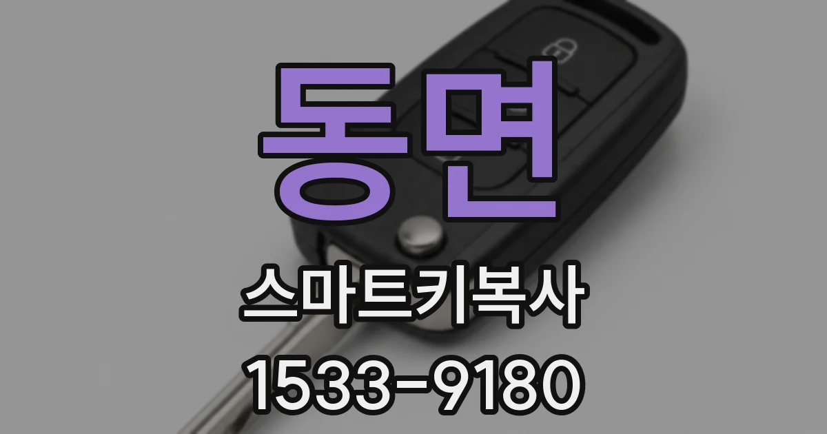 동면 스마트키복사