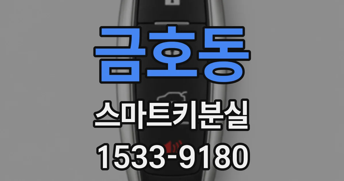 금호동 스마트키분실