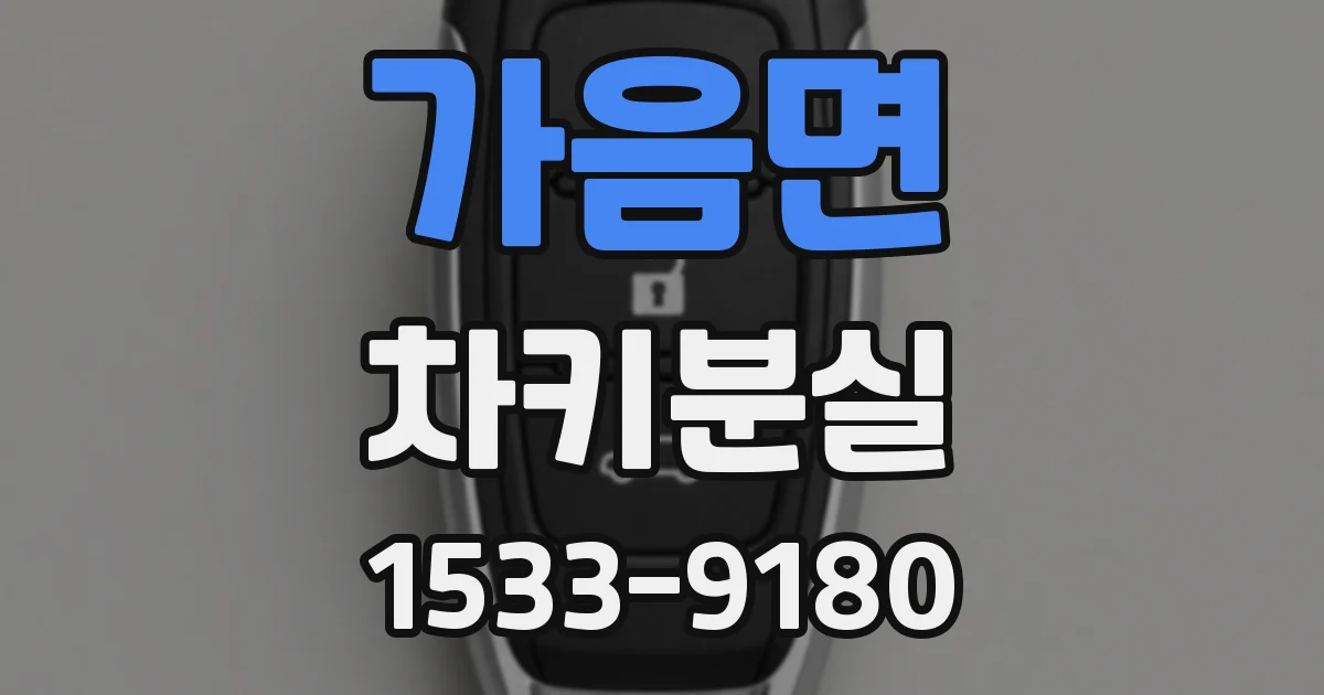 가음면 차키분실