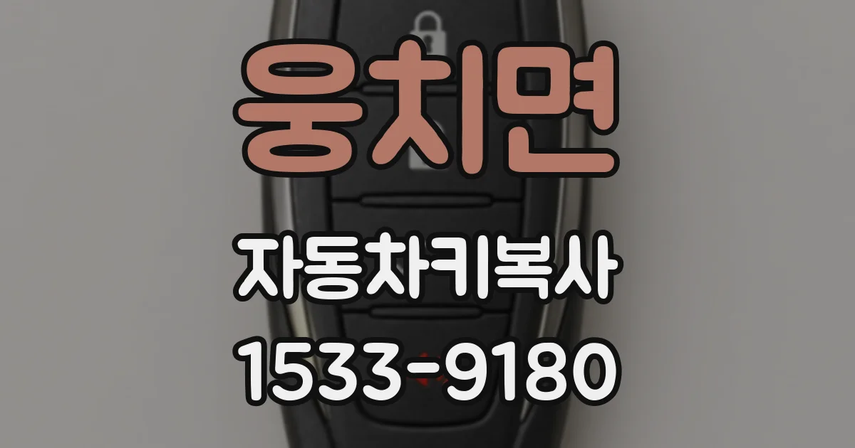 웅치면 자동차키복사