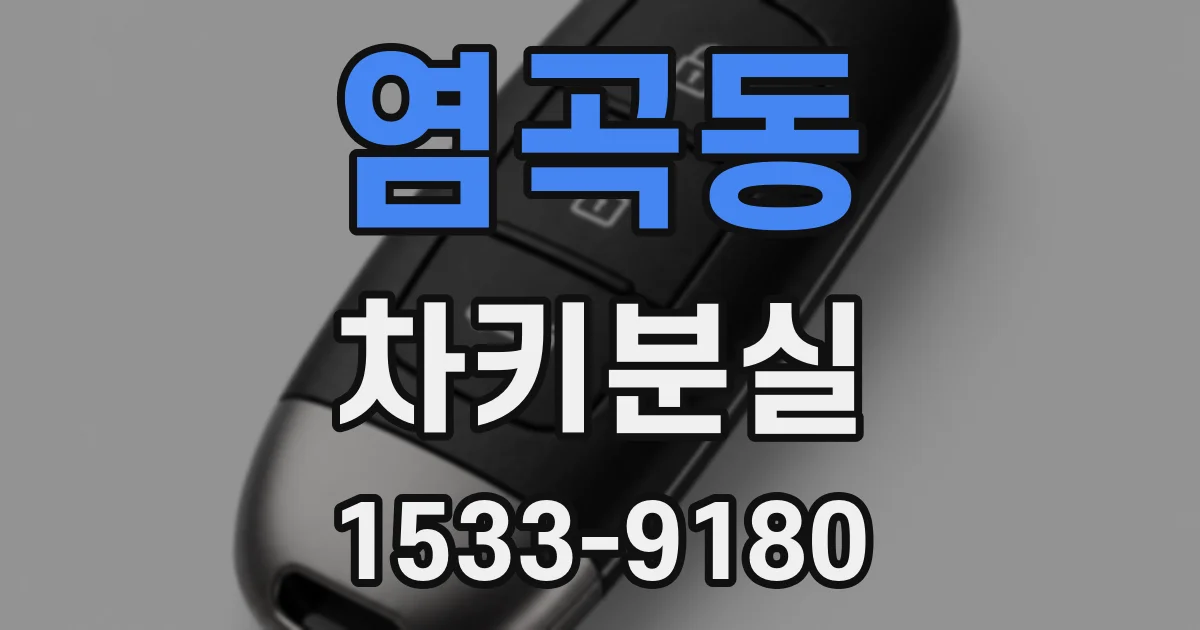 염곡동 차키분실