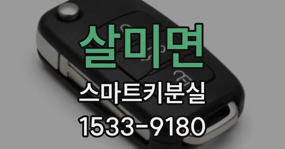 살미면 스마트키분실