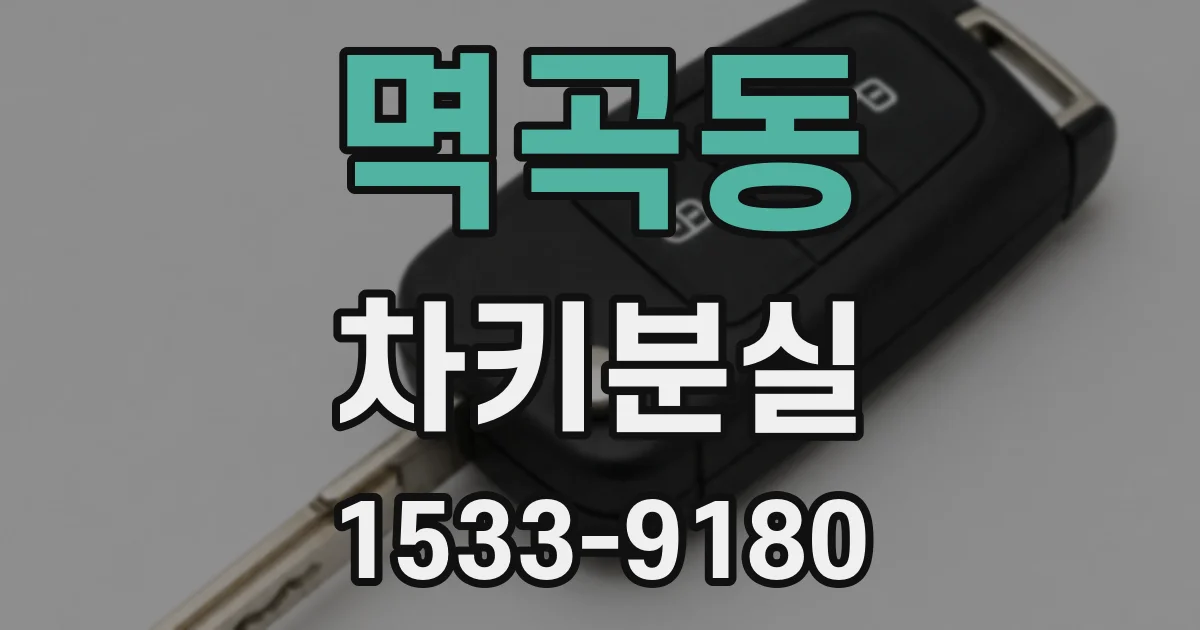 멱곡동 차키분실