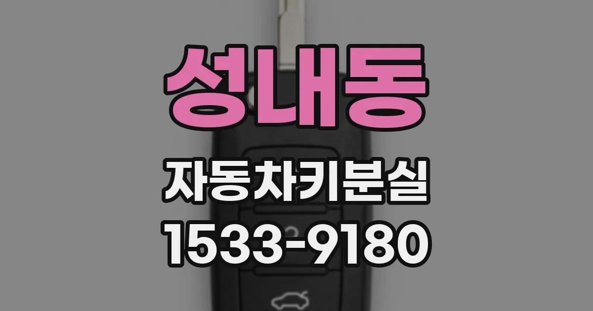 성내동 자동차키분실