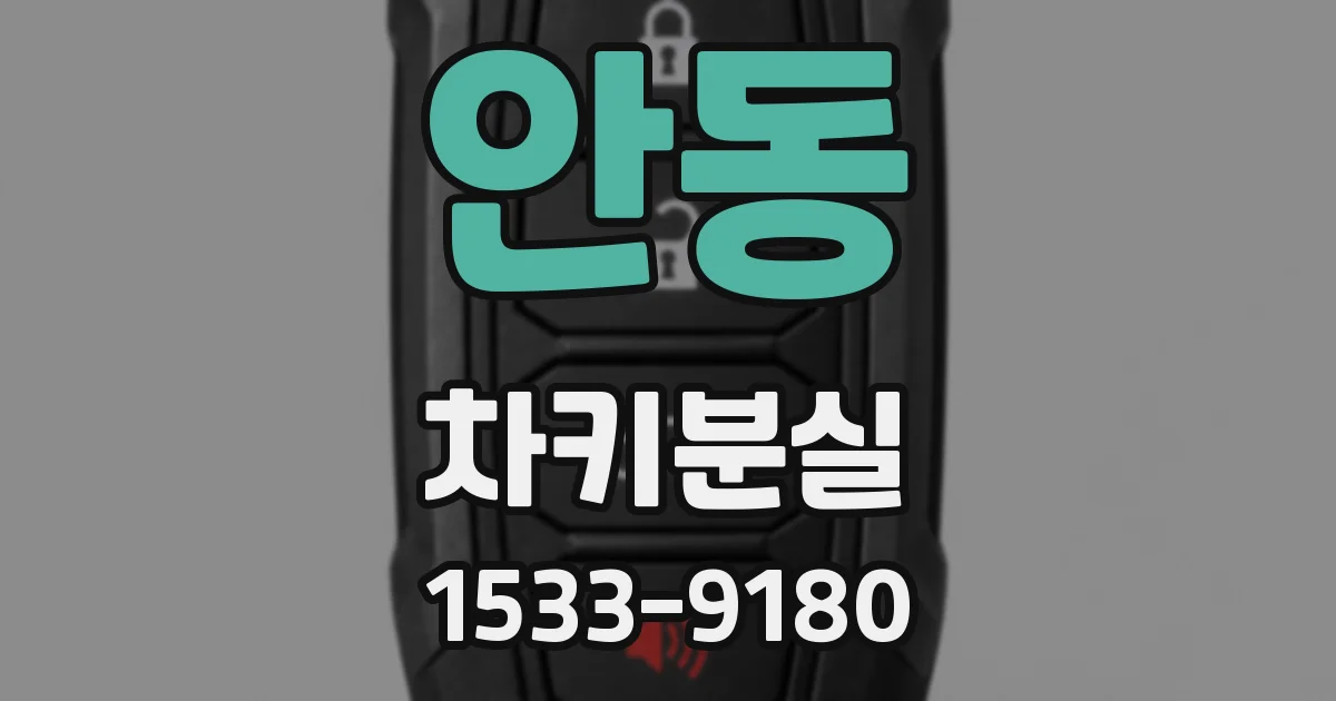 안동 차키분실