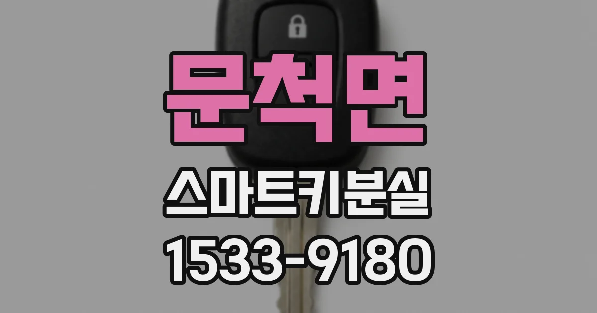 문척면 스마트키분실