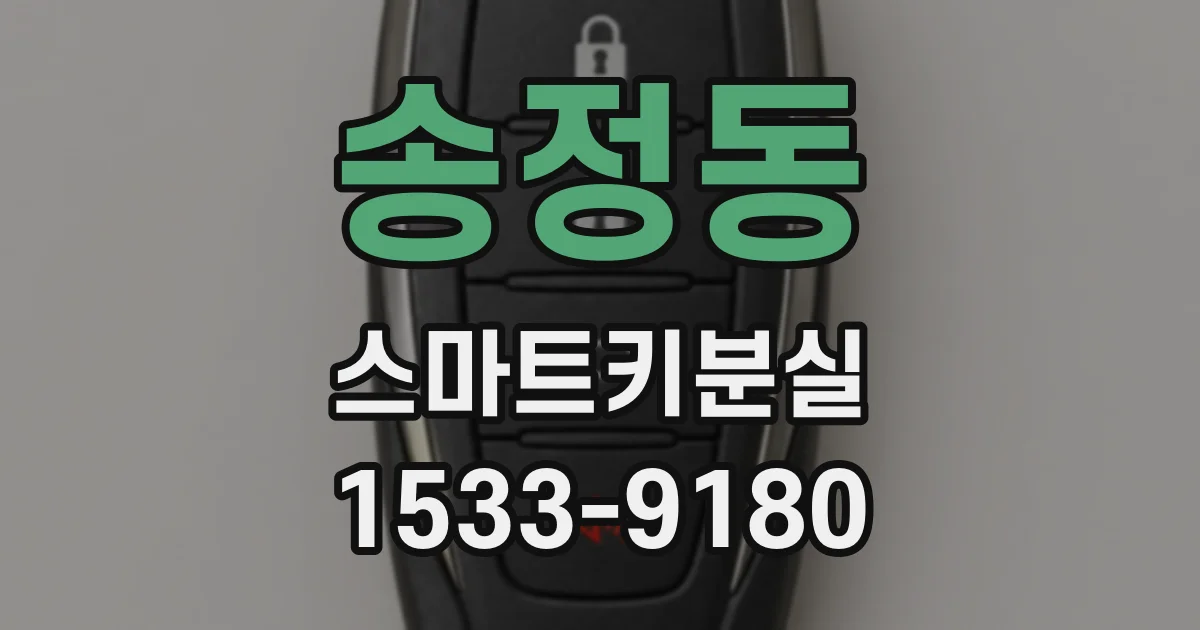 송정동 스마트키분실