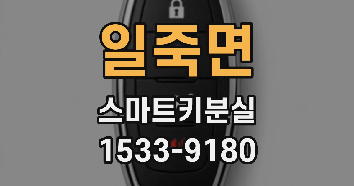 일죽면 스마트키분실