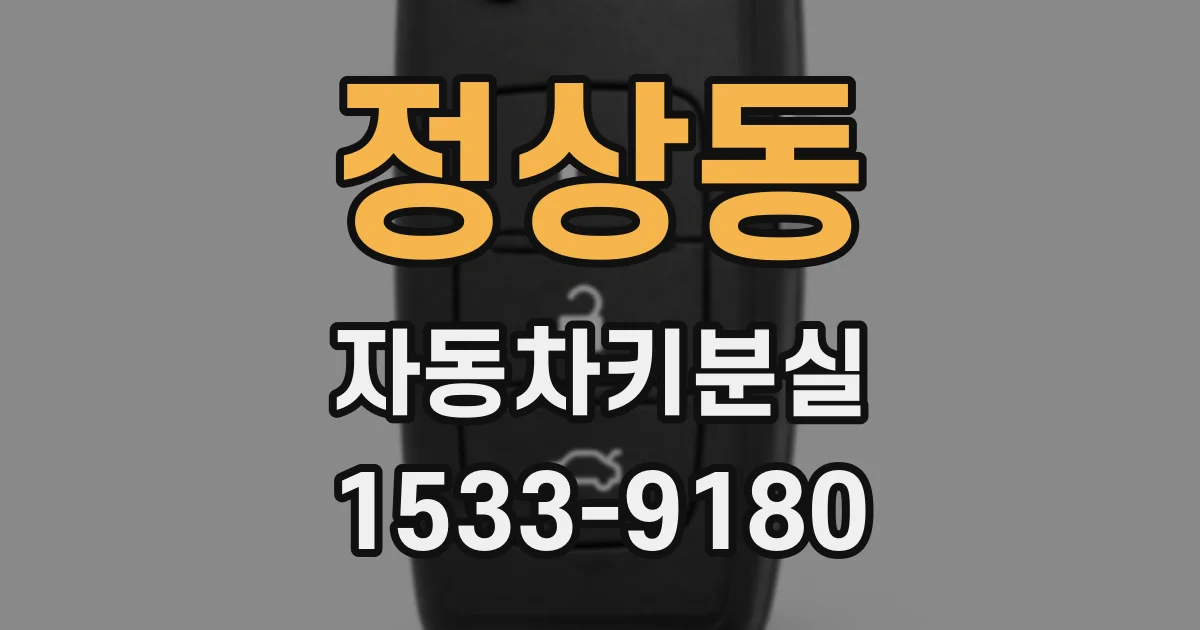 정상동 자동차키분실