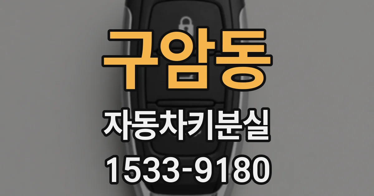 구암동 자동차키분실