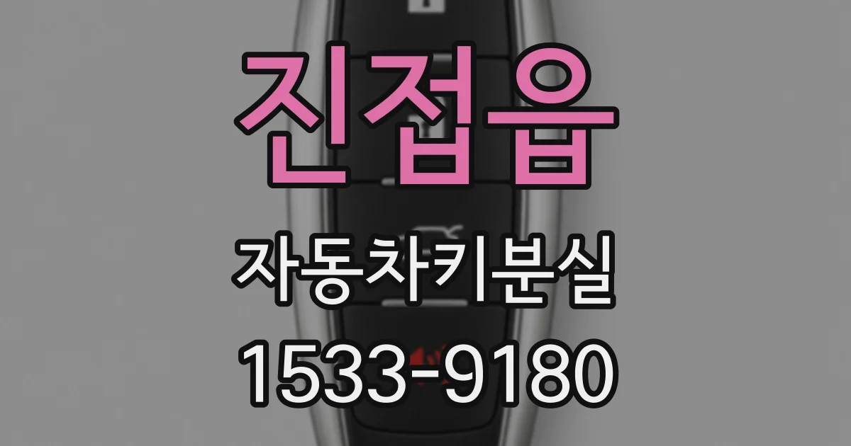 진접읍 자동차키분실