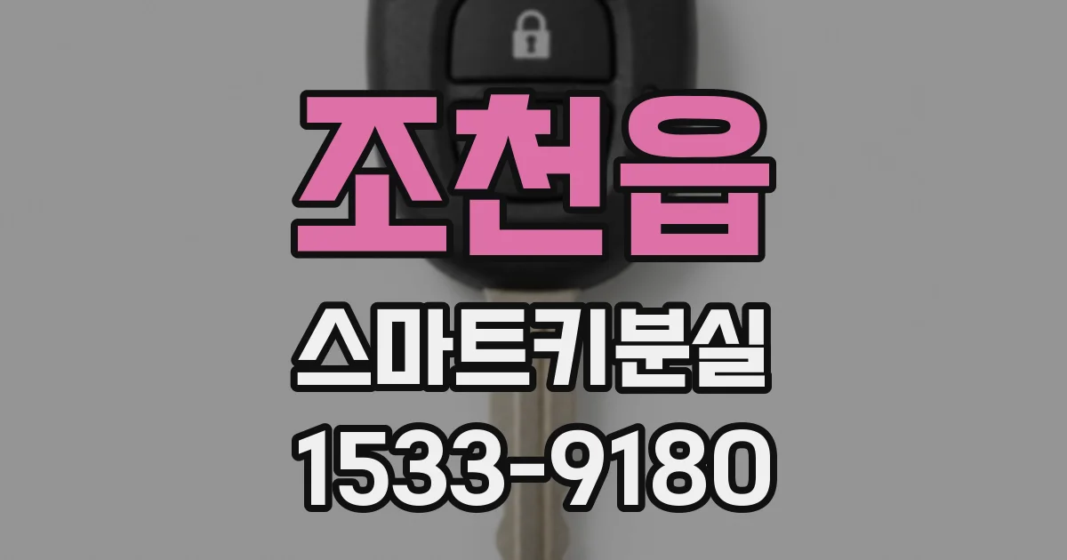 조천읍 스마트키분실