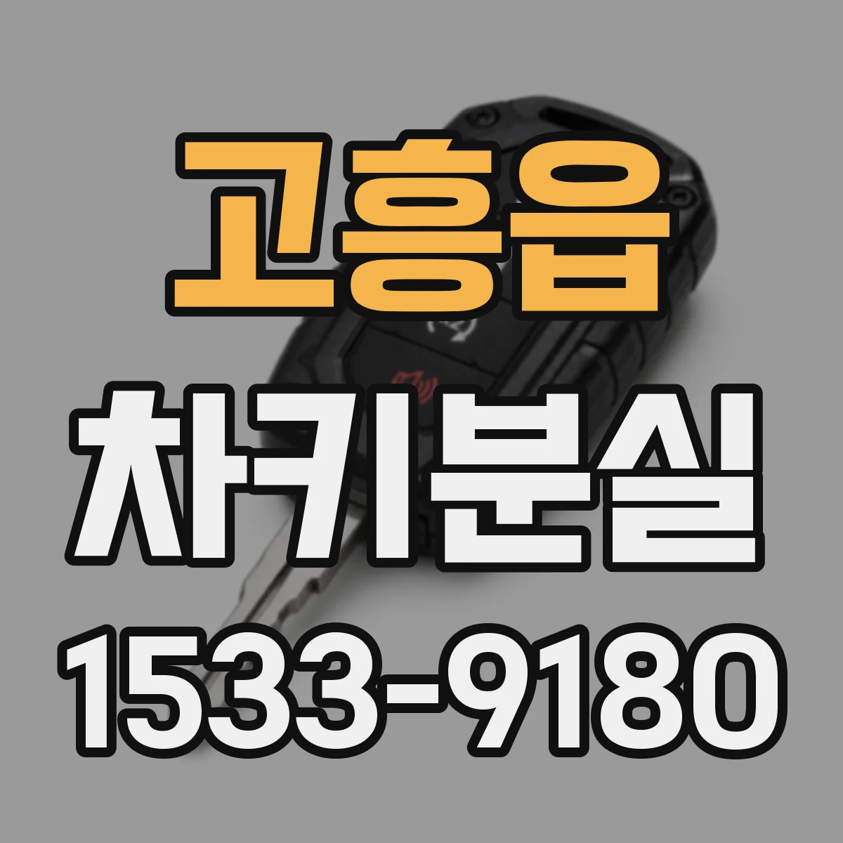 고흥읍 차키분실