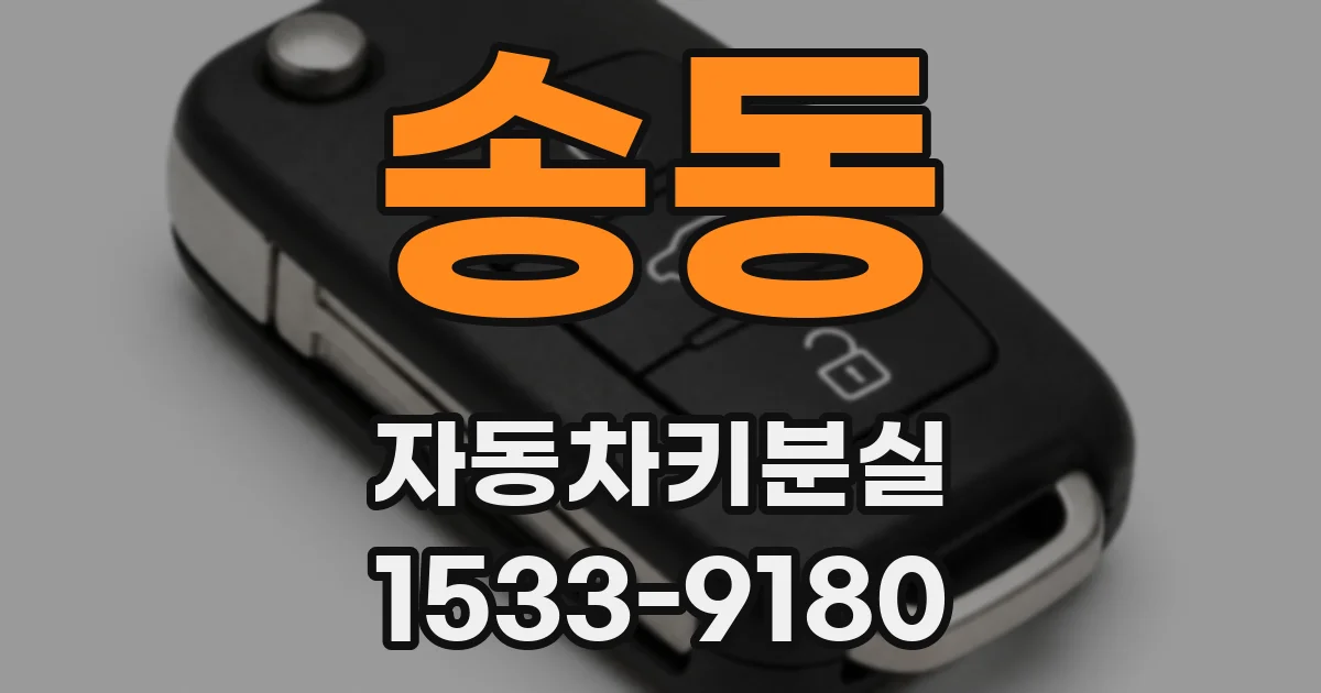 송동 자동차키분실