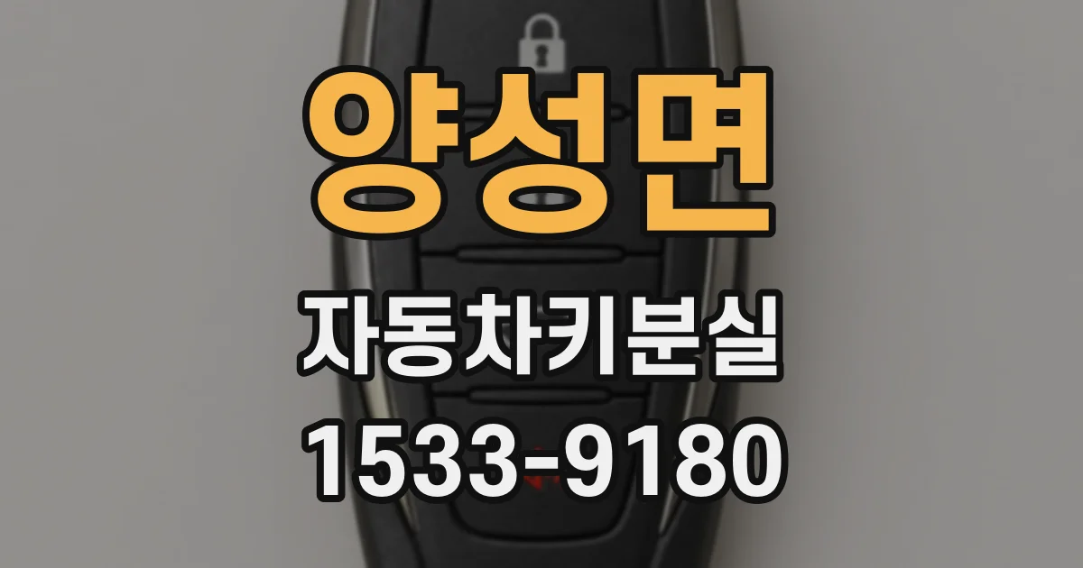 양성면 자동차키분실