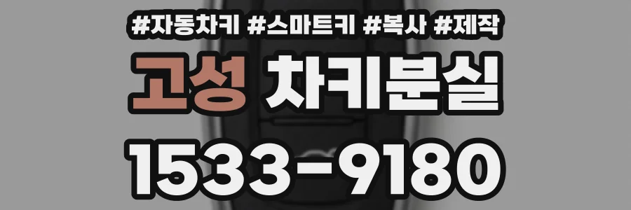 고성 차키분실