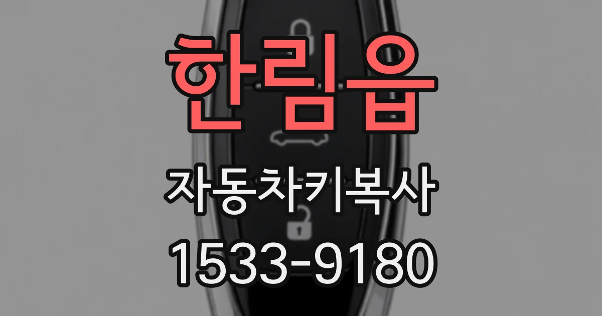 한림읍 자동차키복사