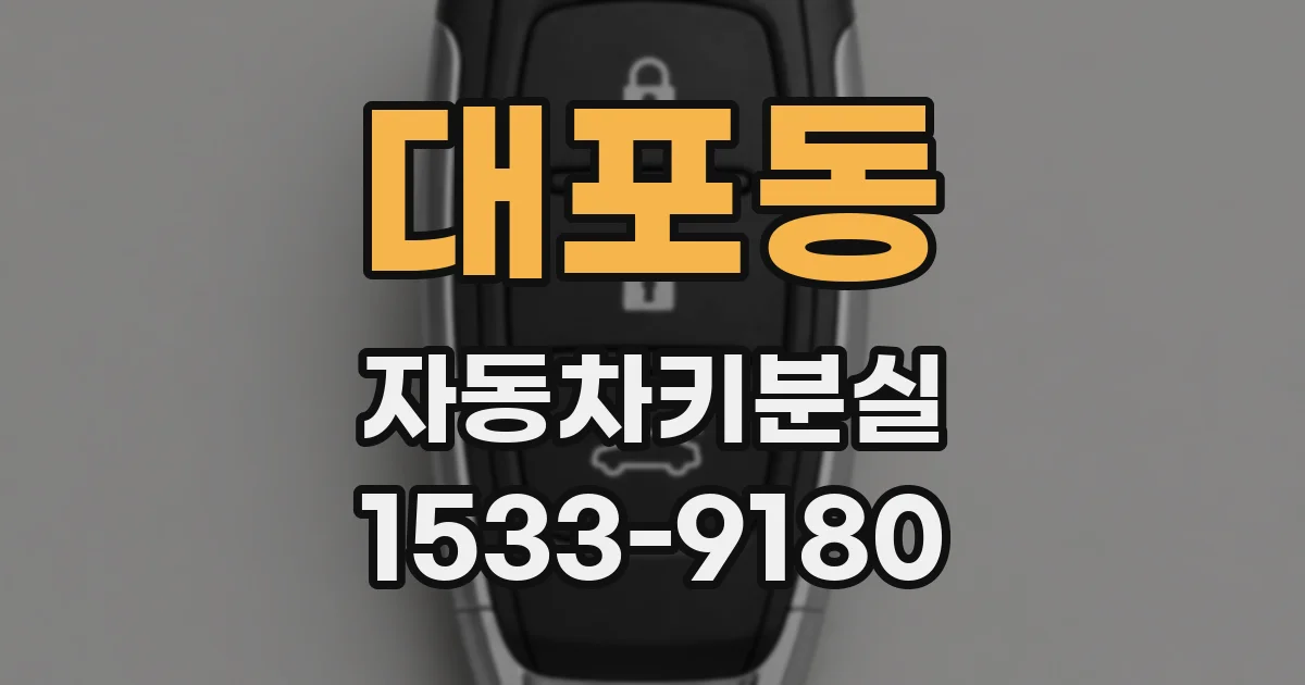 대포동 자동차키분실
