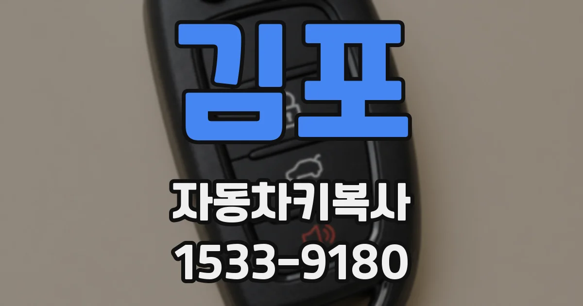 김포 자동차키복사