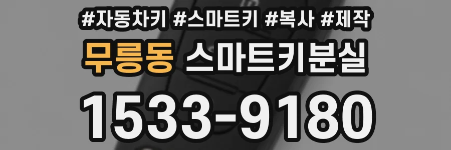 무릉동 스마트키분실