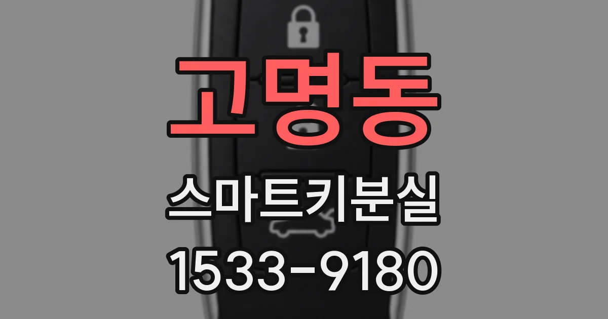 고명동 스마트키분실
