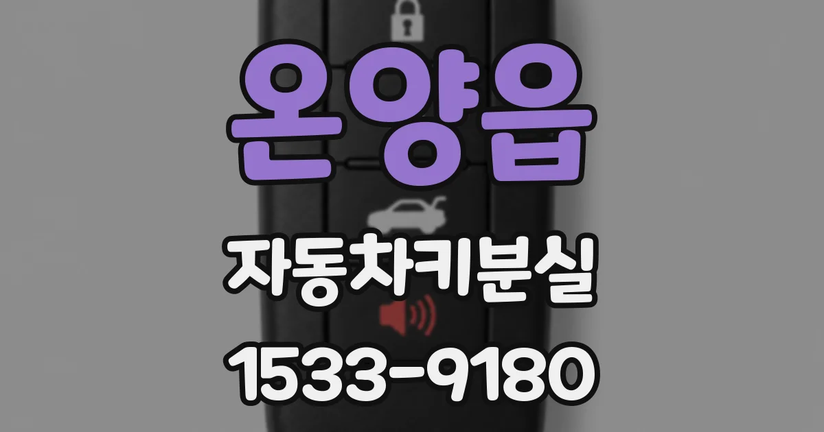 온양읍 자동차키분실