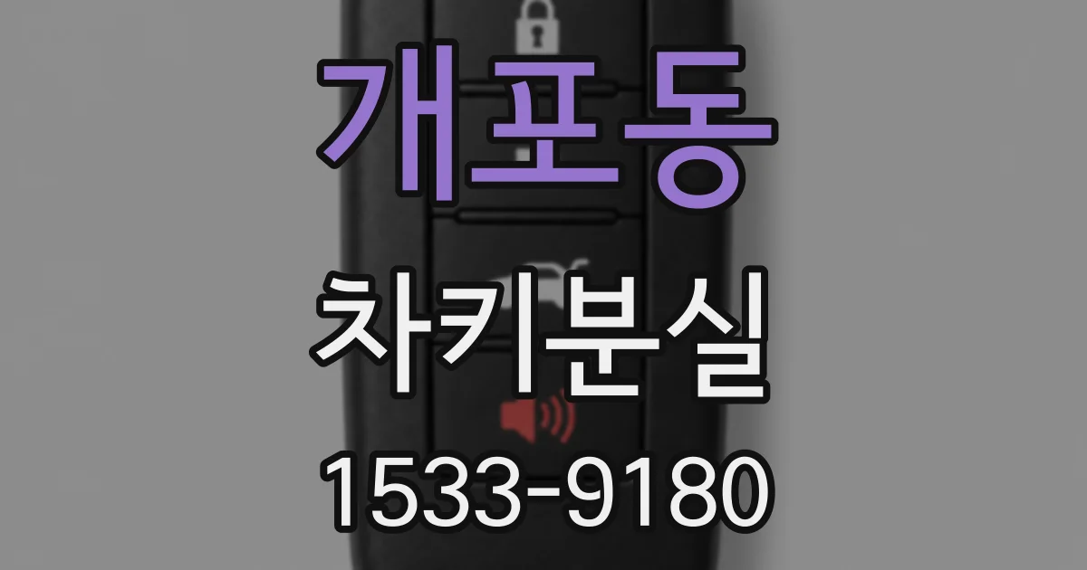 개포동 차키분실