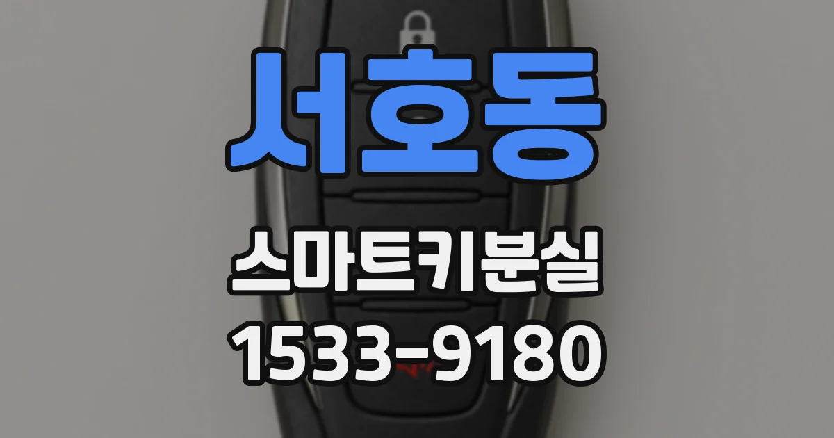 서호동 스마트키분실