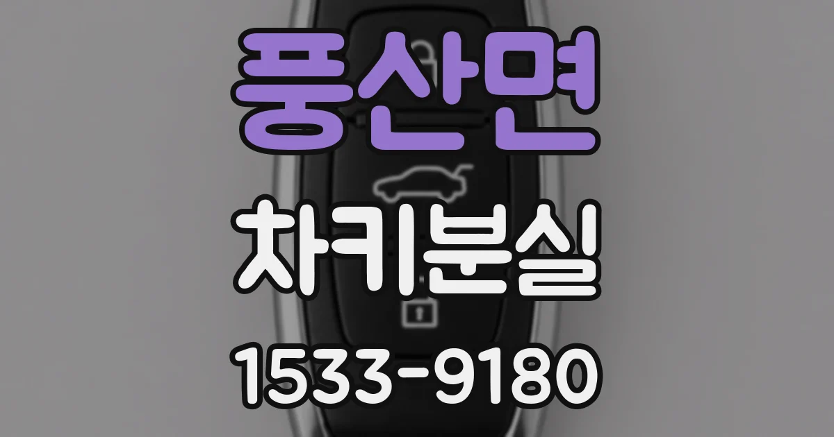 풍산면 차키분실
