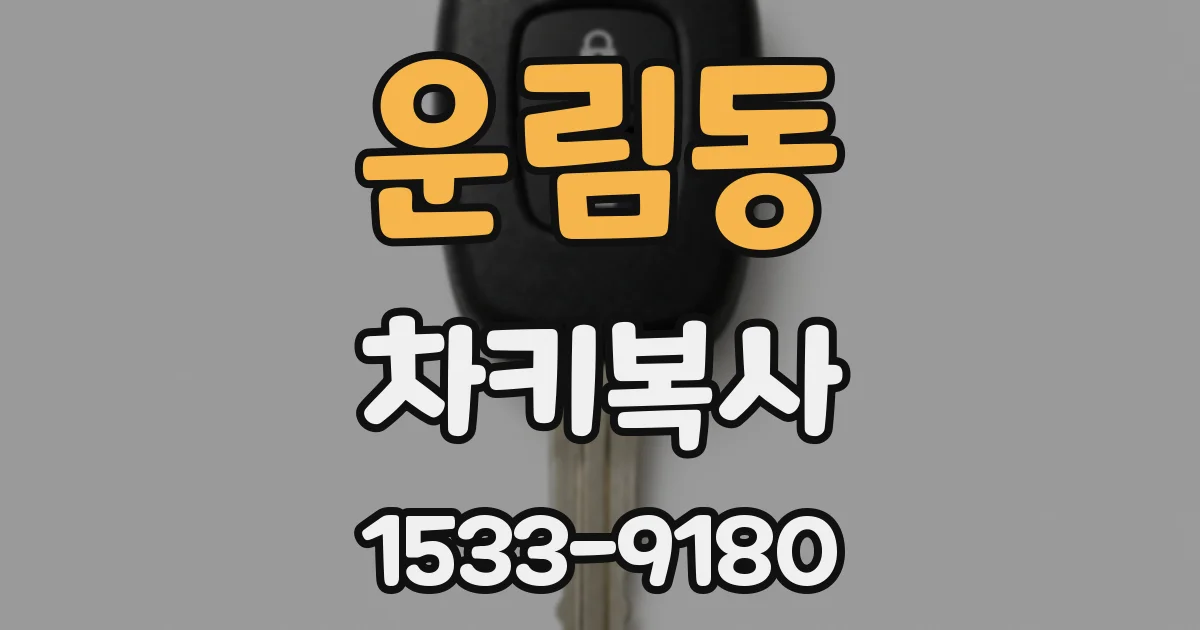 운림동 차키복사