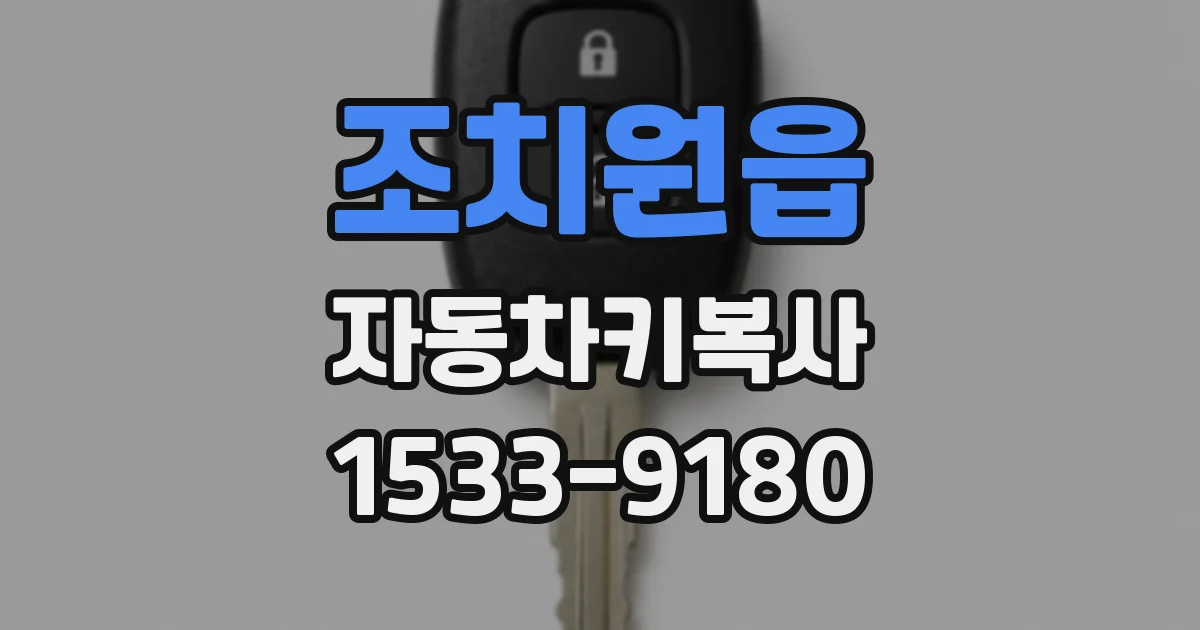 조치원읍 자동차키복사