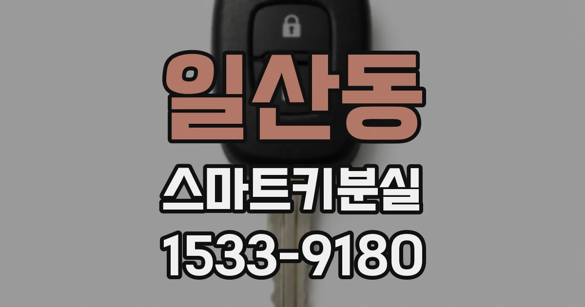 일산동 스마트키분실