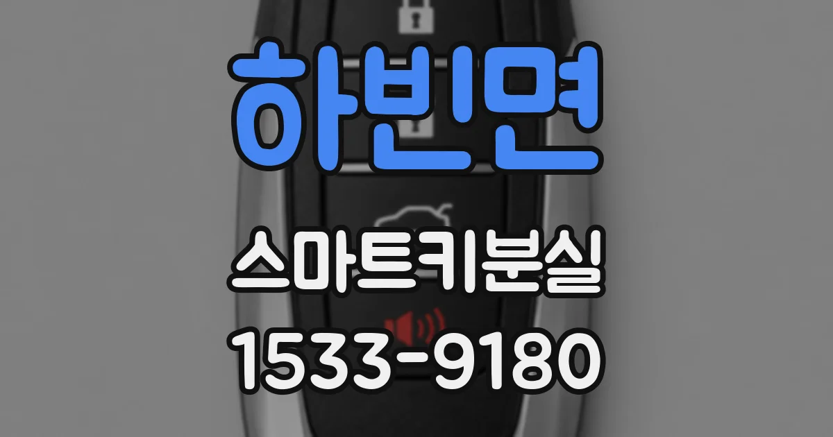 하빈면 스마트키분실
