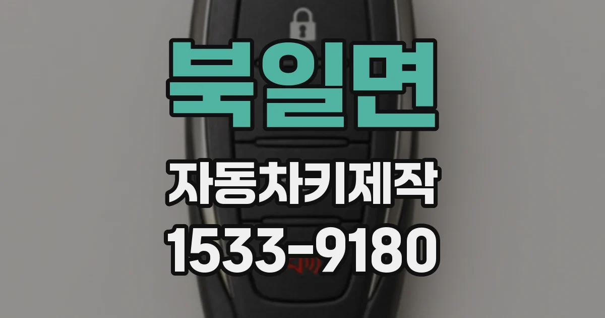 북일면 자동차키제작
