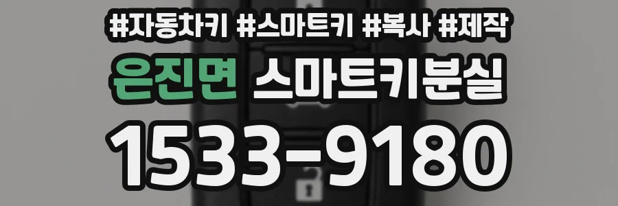 은진면 스마트키분실