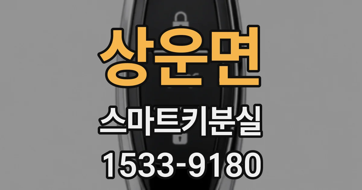 상운면 스마트키분실