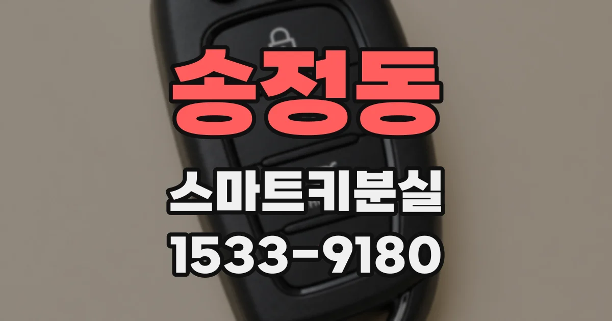 송정동 스마트키분실