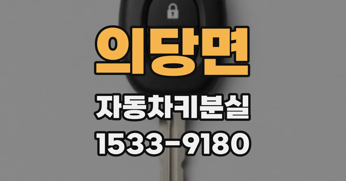 의당면 자동차키분실