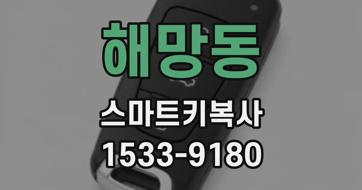 해망동 스마트키복사