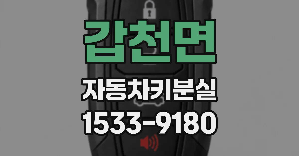 갑천면 자동차키분실