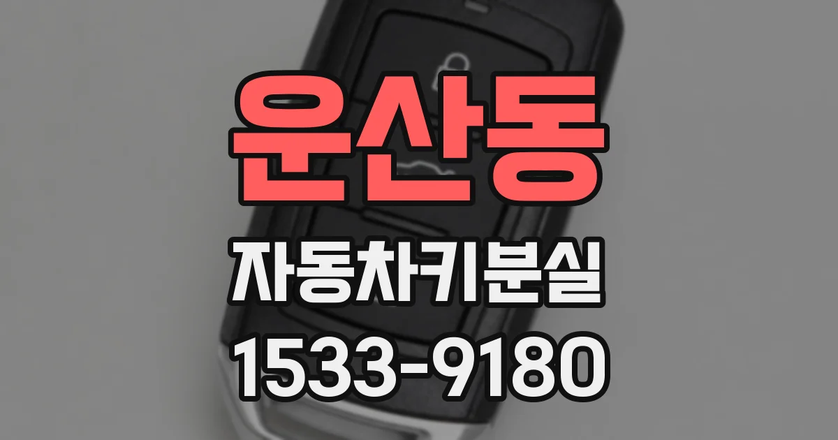 운산동 자동차키분실