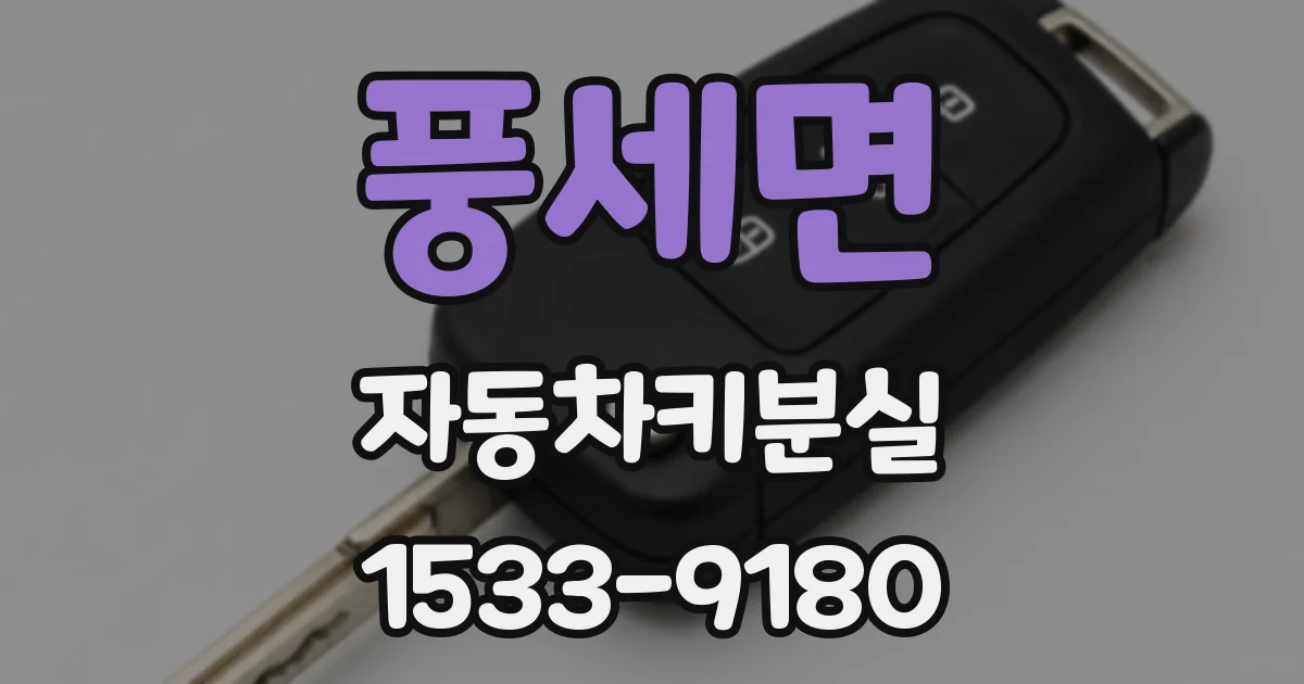 풍세면 자동차키분실
