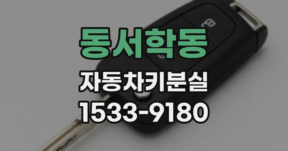 동서학동 자동차키분실