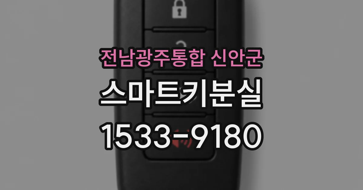 전남광주통합 신안군 스마트키분실