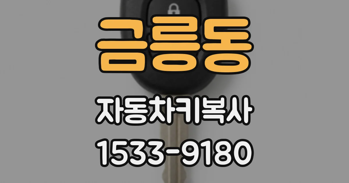 금릉동 자동차키복사